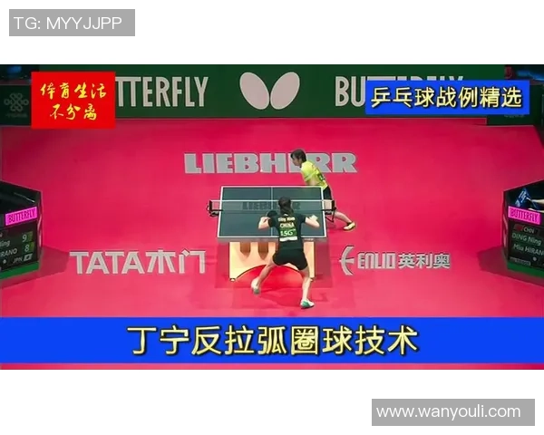 深入分析杭州排球队防反战术的独特魅力与实战应用